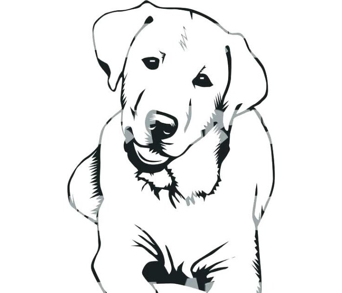 Labrador puppy coloring dog coloring pages labrador