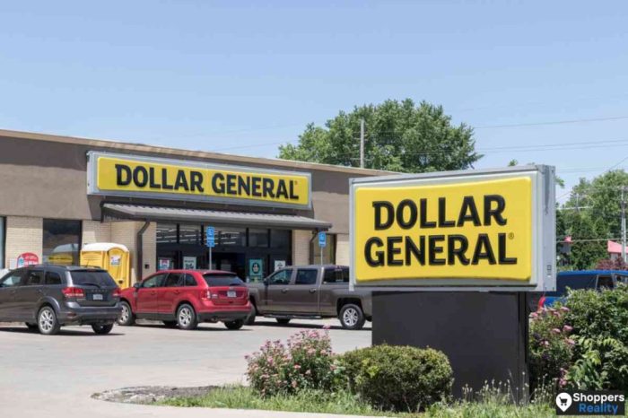 Does dollar general sell food coloring