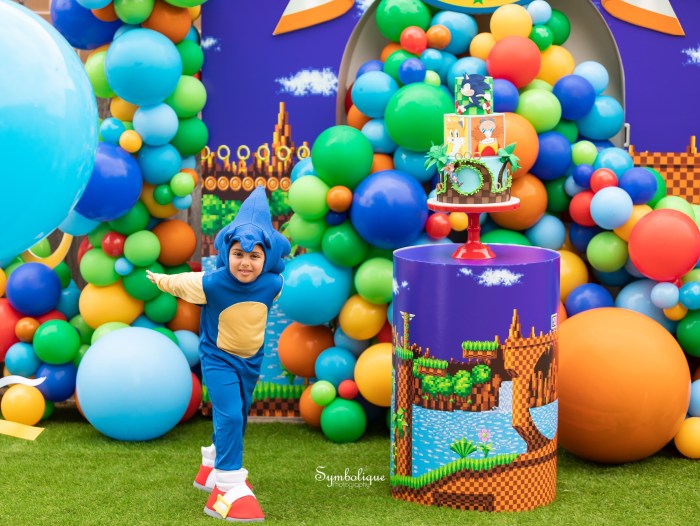 Sonic birthday party decoration