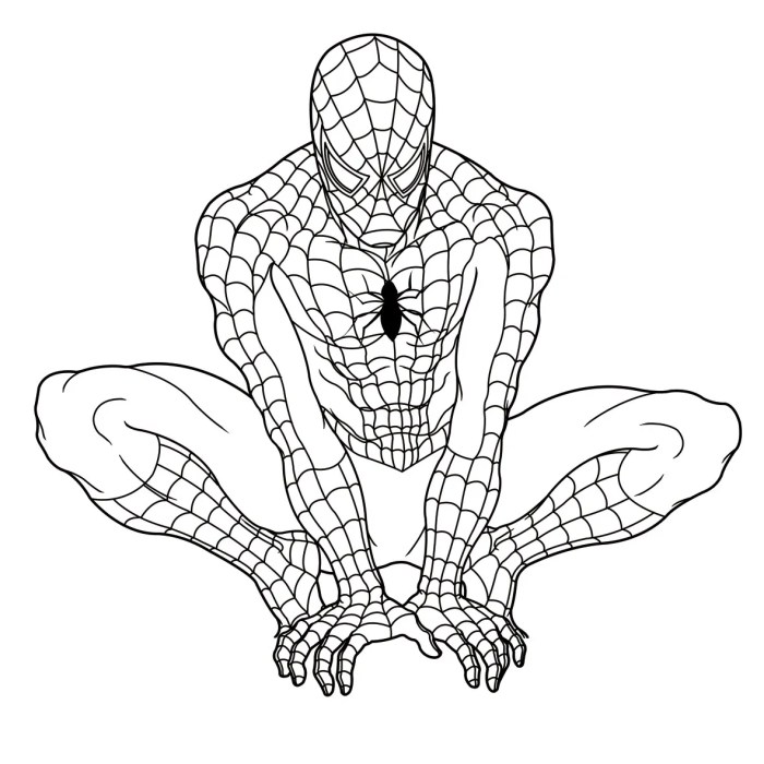 Free spiderman coloring pages