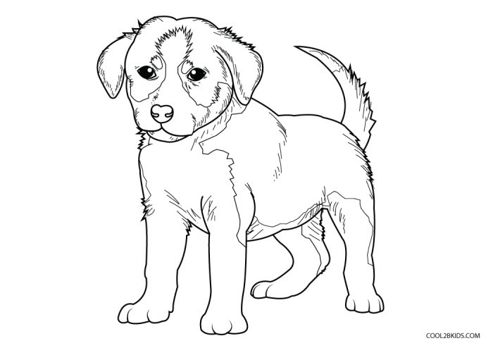 Puppy coloring pages printable