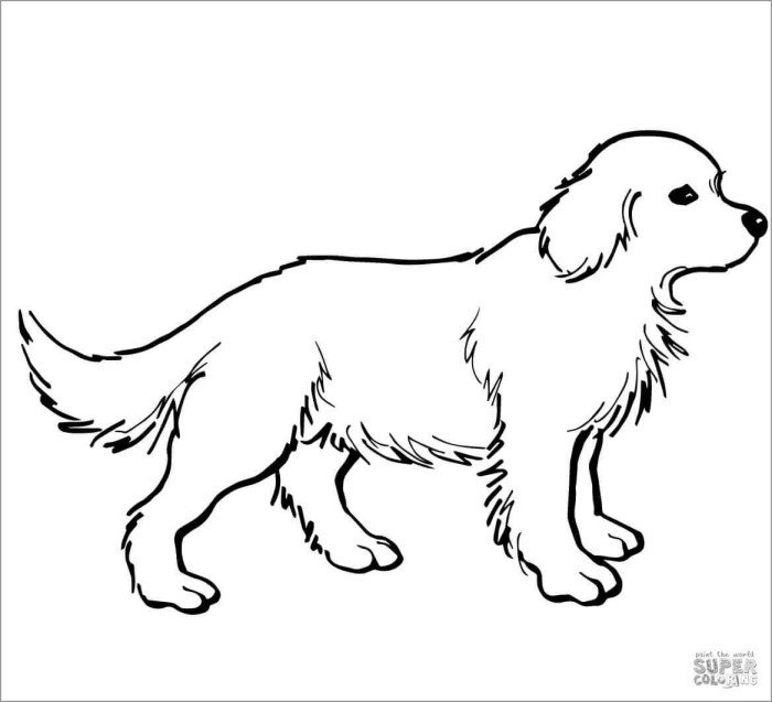 Labrador puppy coloring dog coloring pages labrador