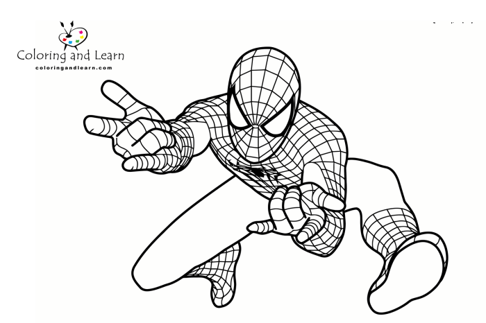 Free spiderman coloring pages